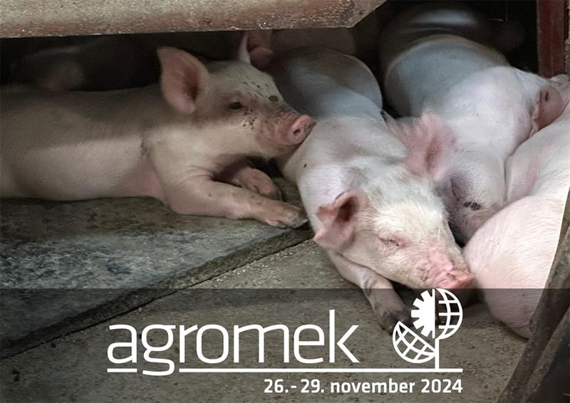 agromek 2024